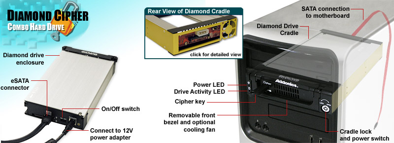 banner_chd.jpg